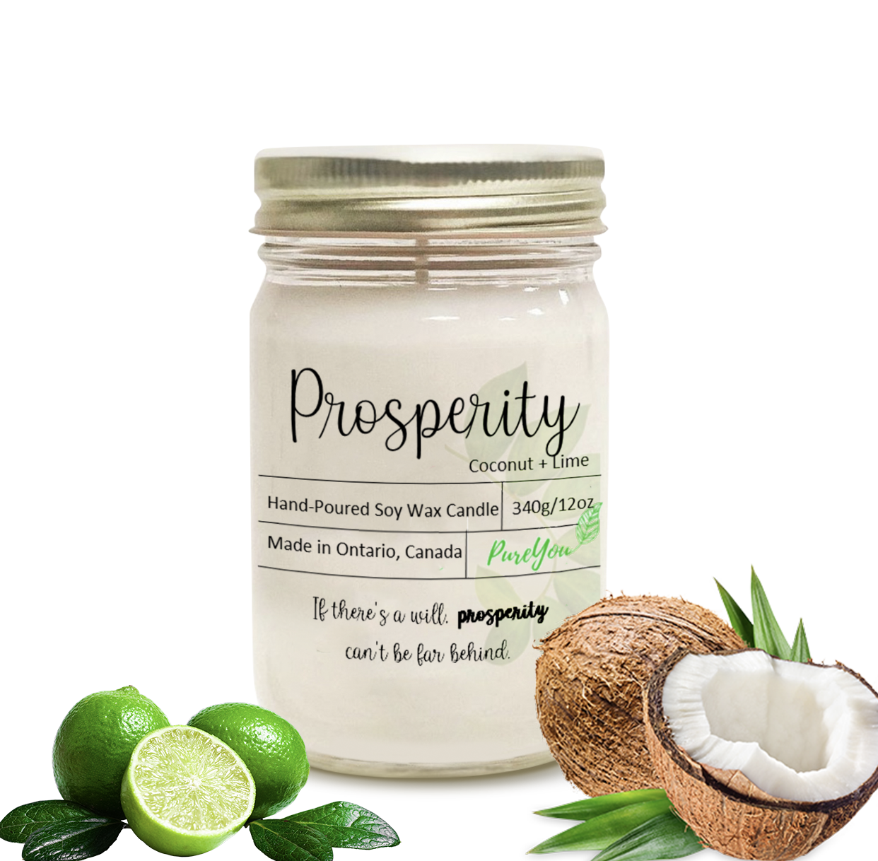 Prosperity Soy Wax Candle (Coconut+Lime)