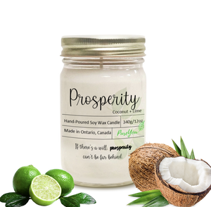Prosperity Soy Wax Candle (Coconut+Lime)
