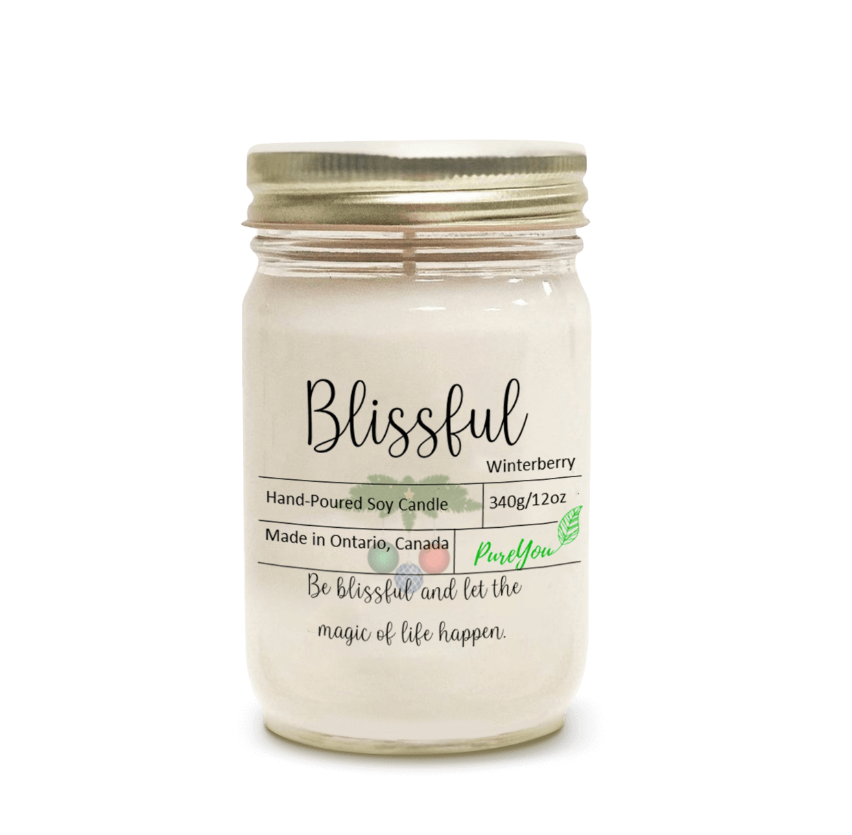 Blissful Soy Wax Candle (Winterberry)